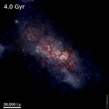 A MassiveFIRE galaxy