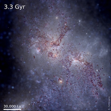 A MassiveFIRE galaxy